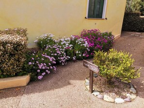 Property grounds - Sardinia Hillside Retreat - Apt 14 - 2BR, quiet area, parking (Santa Maria Coghinas)