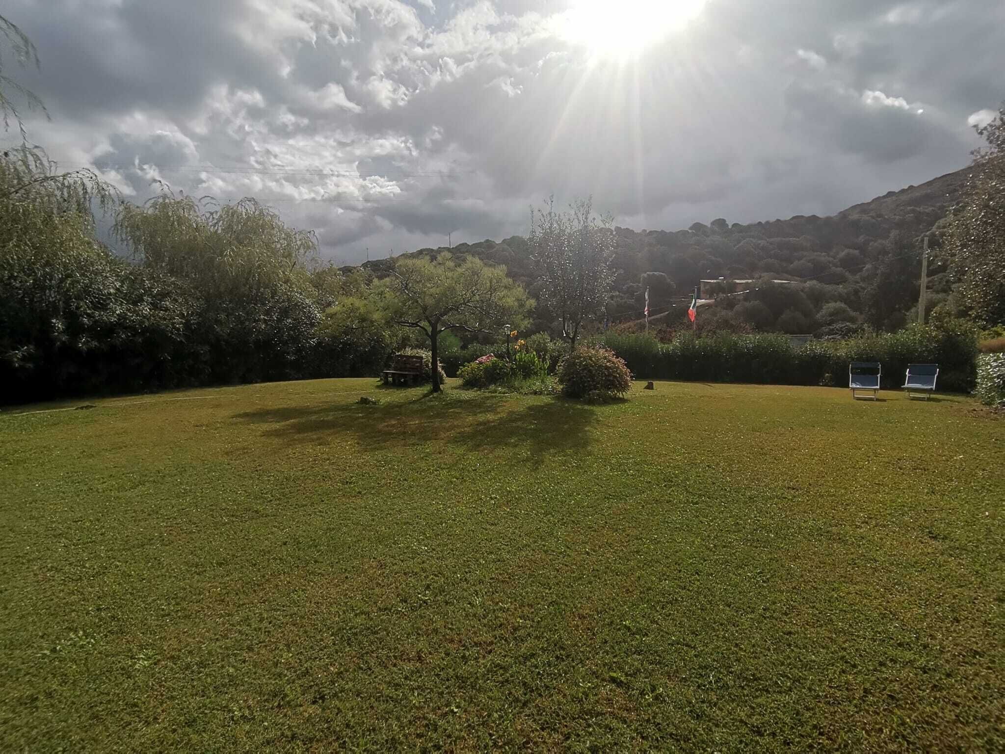 Un espace extérieur verdoyant, avec des arbres et un banc.