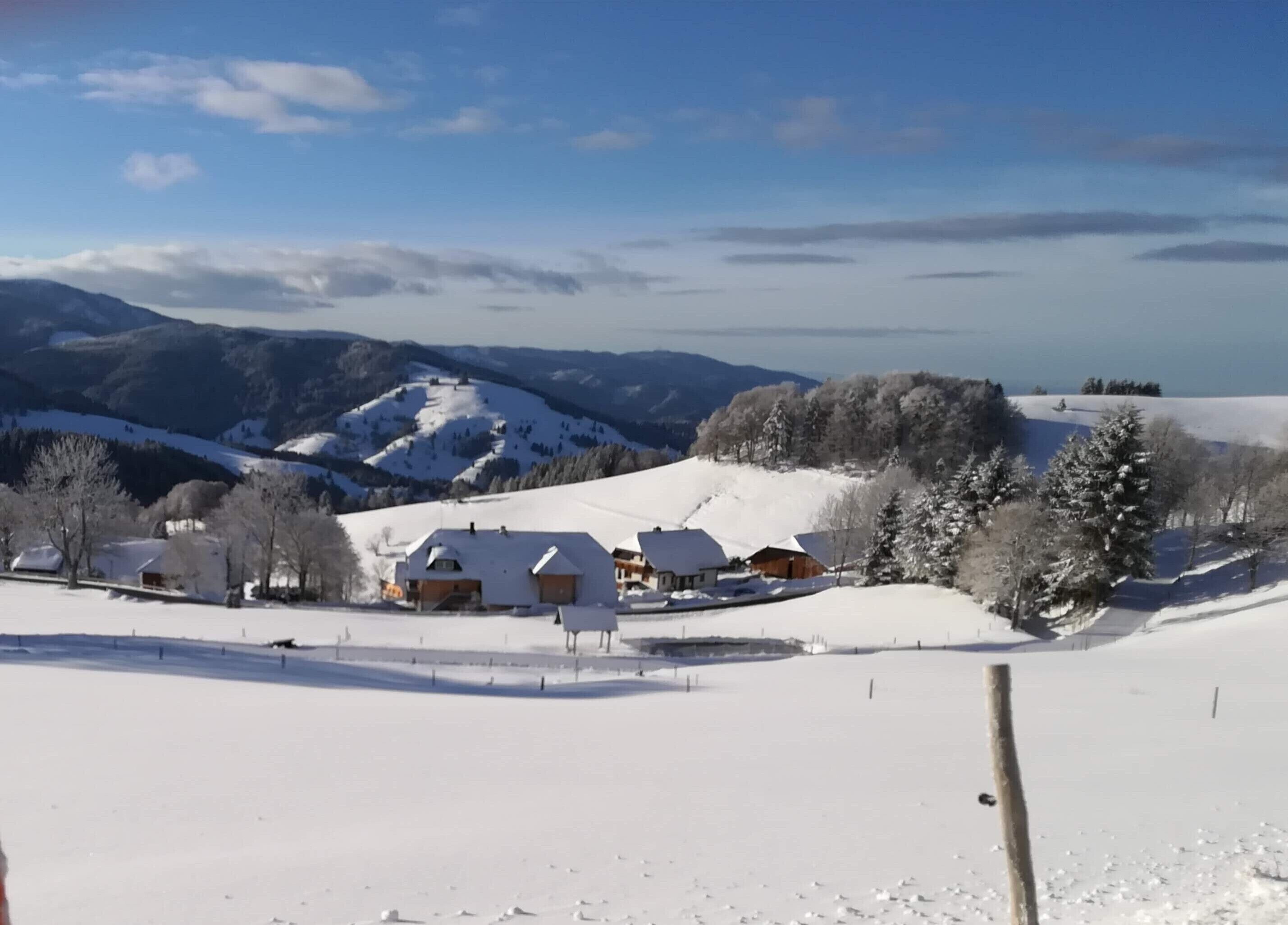 Sneeuw- en skisporten