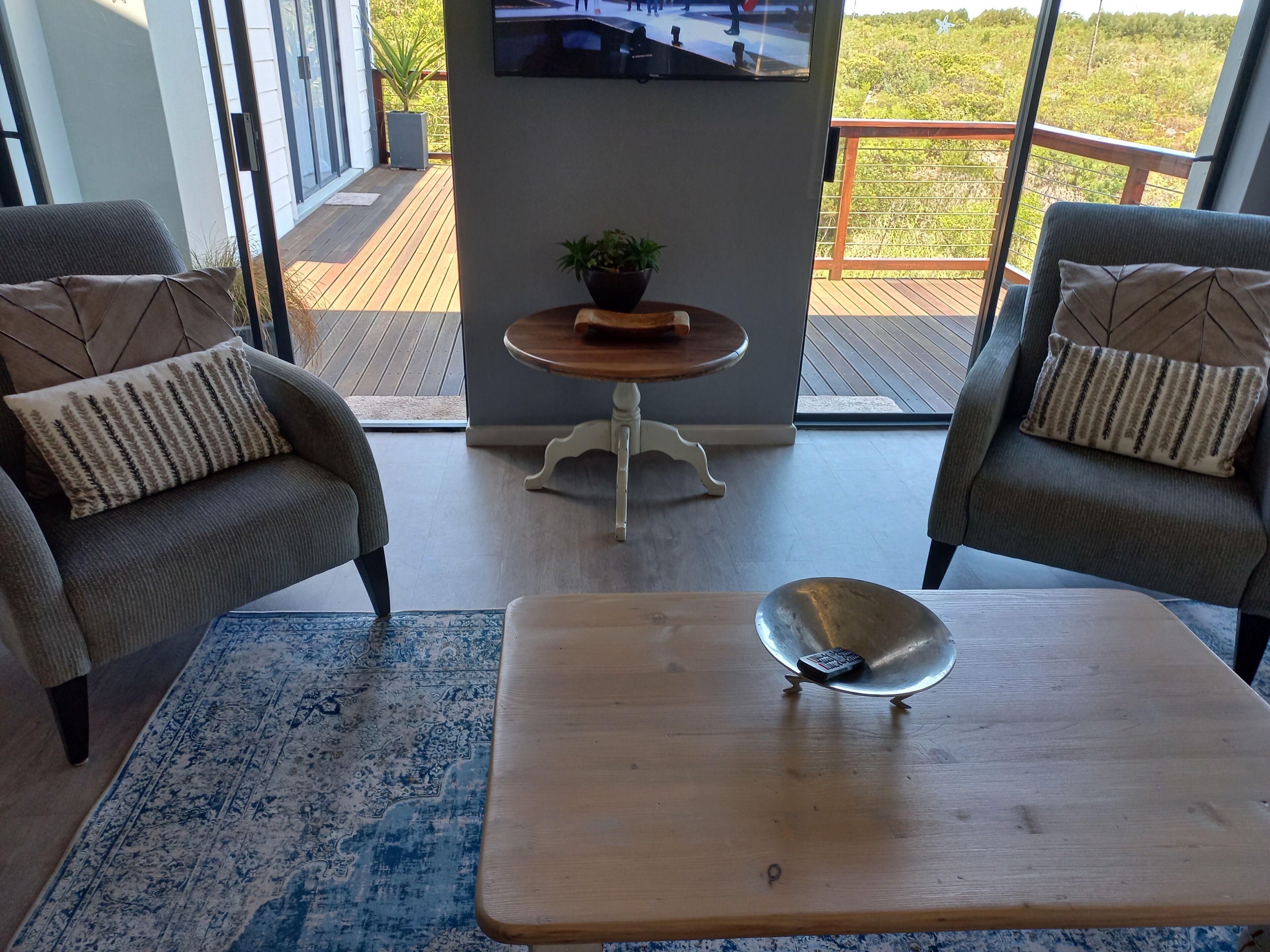 A modern living room with two armchairs, a coffee table, a small round table with a plant, and a television on a stand.