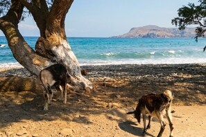 Beach - Villa Tetraktys (Sfinari)