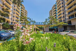 Property grounds - Oceanfront Building With Great Ocean and Bay Views (Ocean City)