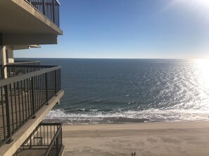 Beach - Ocean City's Premiere Building (Ocean City)