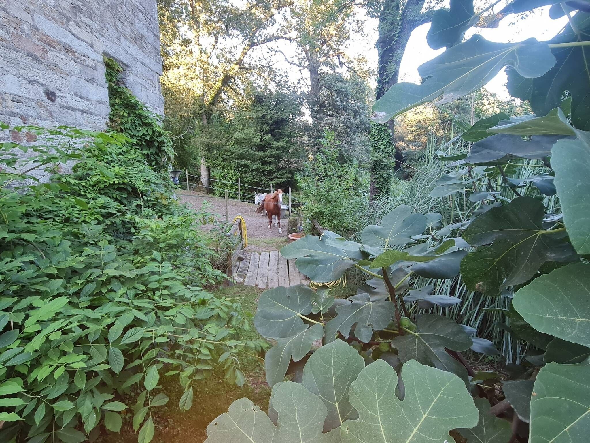 Parco della struttura