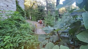 Parco della struttura