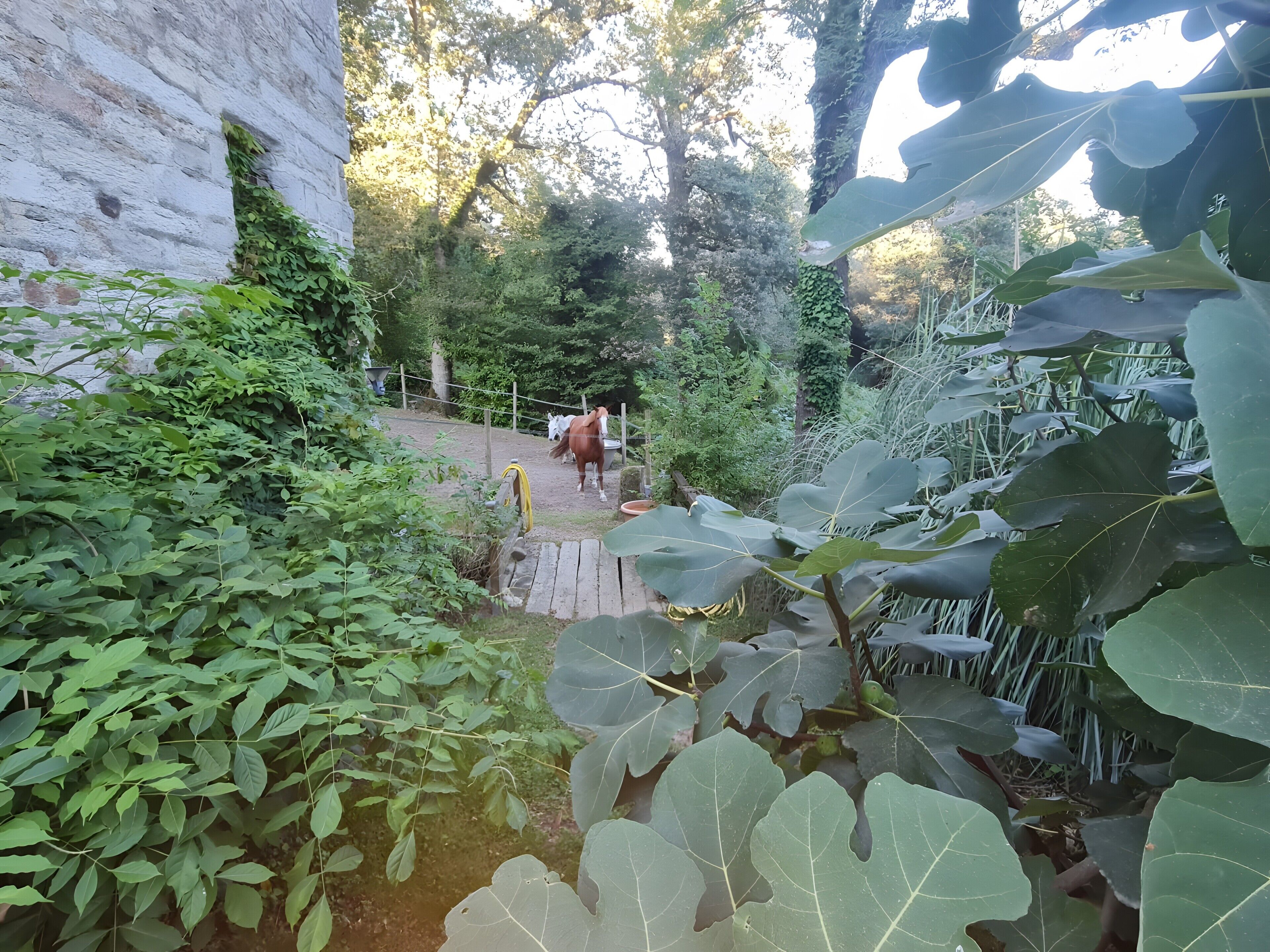 Enceinte de l’hébergement