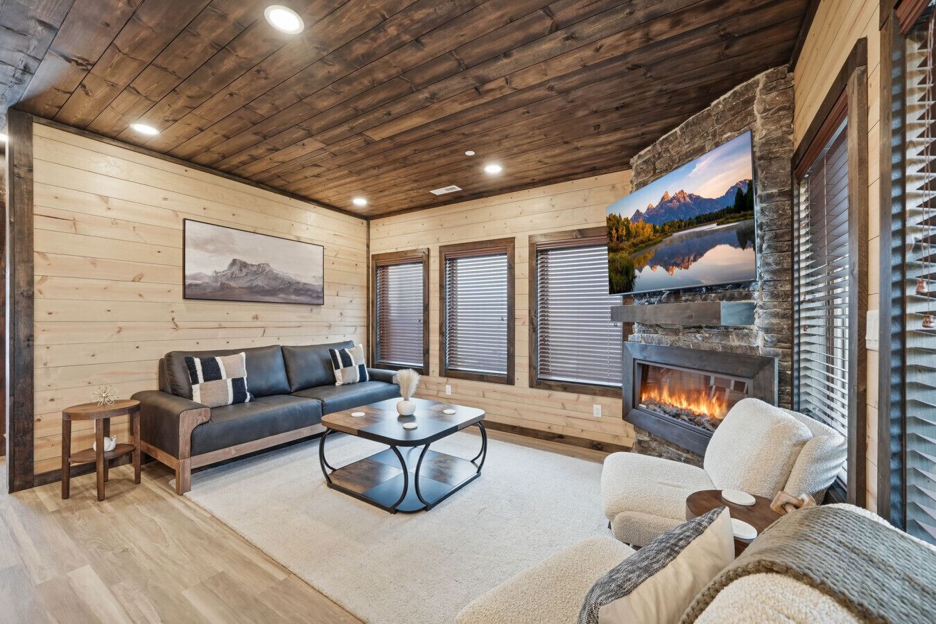 TV, fireplace, foosball, books