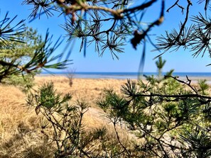 Vlak bij het strand