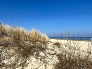 Ein Strand mit Dünen und blauem Himmel.