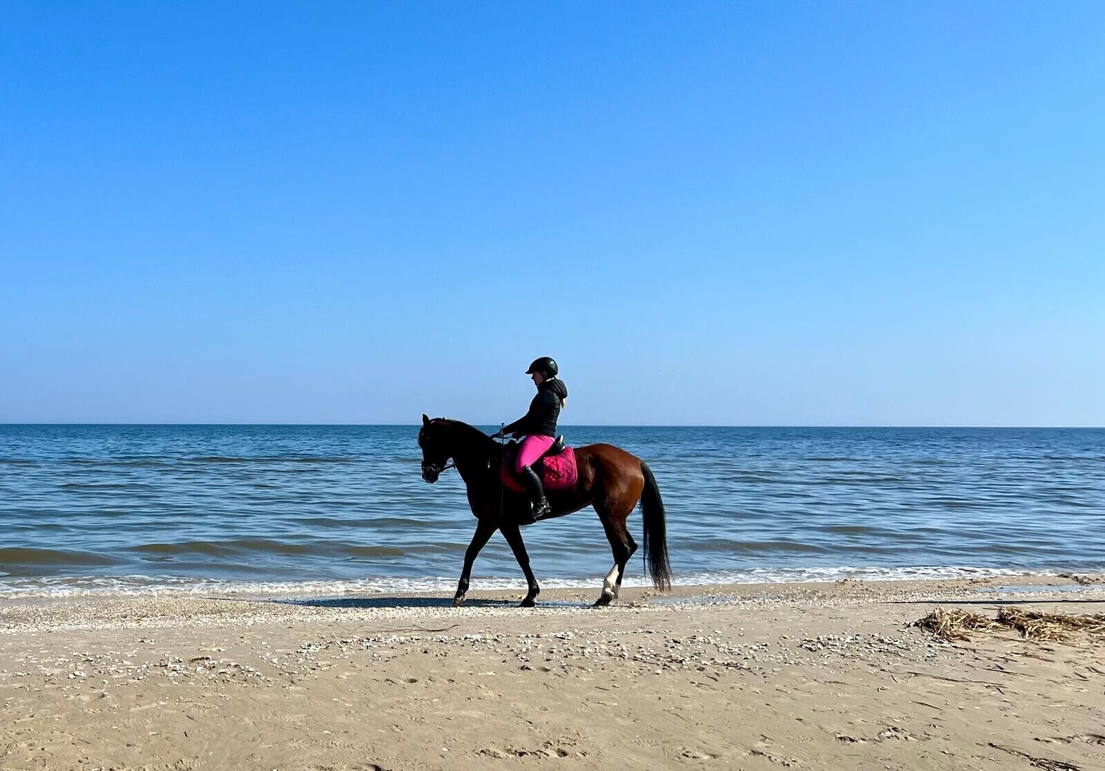 A person riding a horse on a beach with the sea in the background.