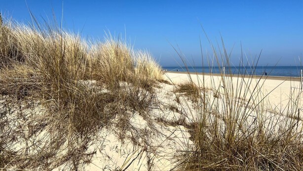 Une plage avec des dunes de sable et un ciel bleu dégagé.