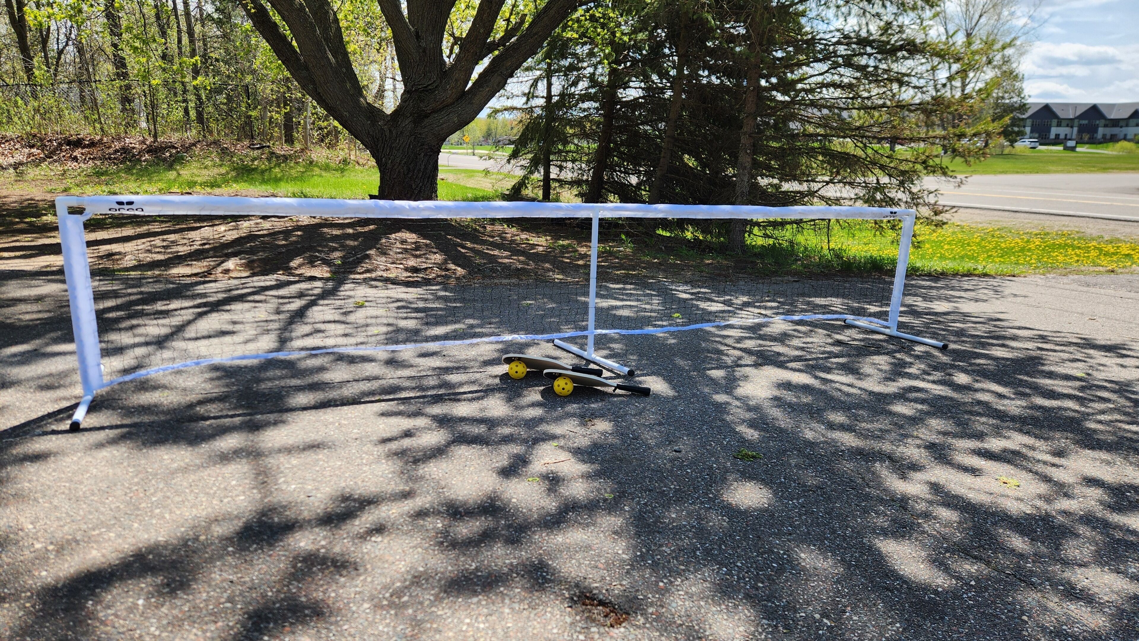 A white goal post with a net, a skateboard, and a tree in the background.