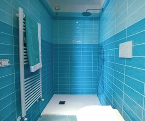 Regadera, secadora de cabello, bidet, toallas 