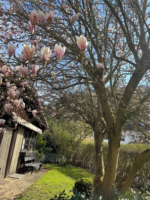 Ein traditionelles Gebäude mit Holzfassade, einer Bank und einem Baum mit rosa Blüten.