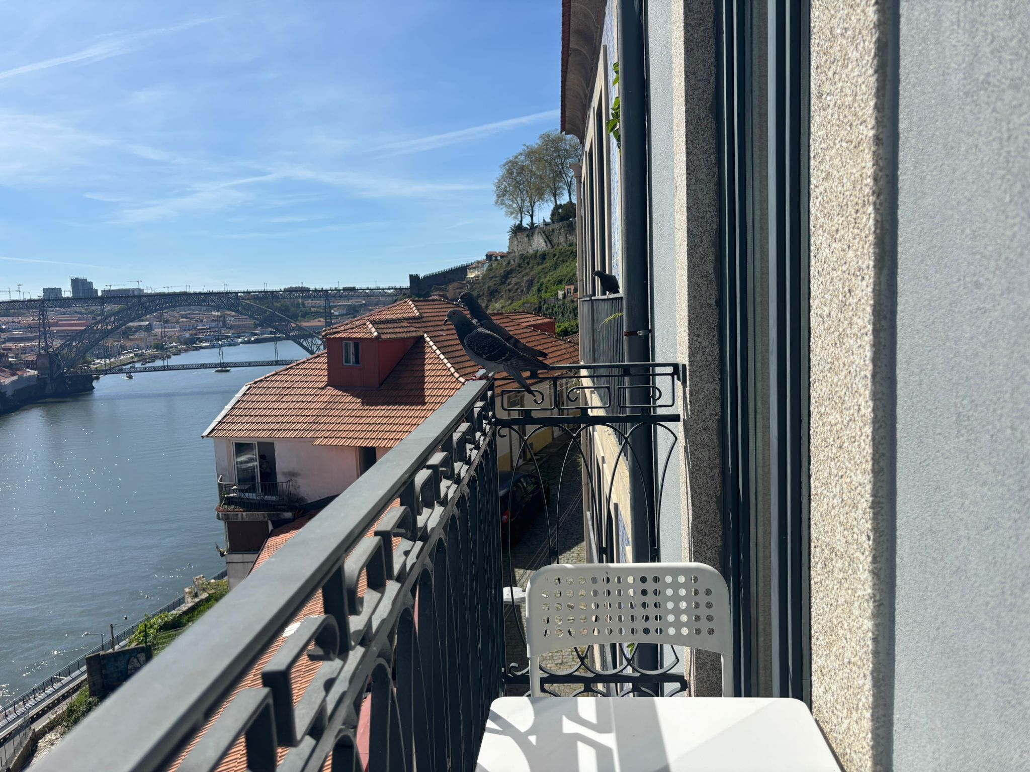 Apartamento Confort, balcón, vistas al río | Jardines del alojamiento