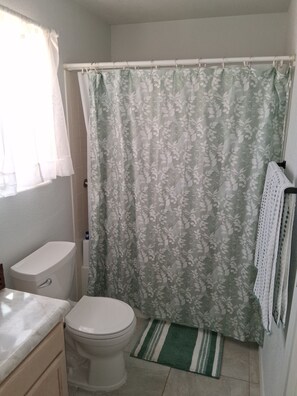 Shower, hair dryer, towels, soap