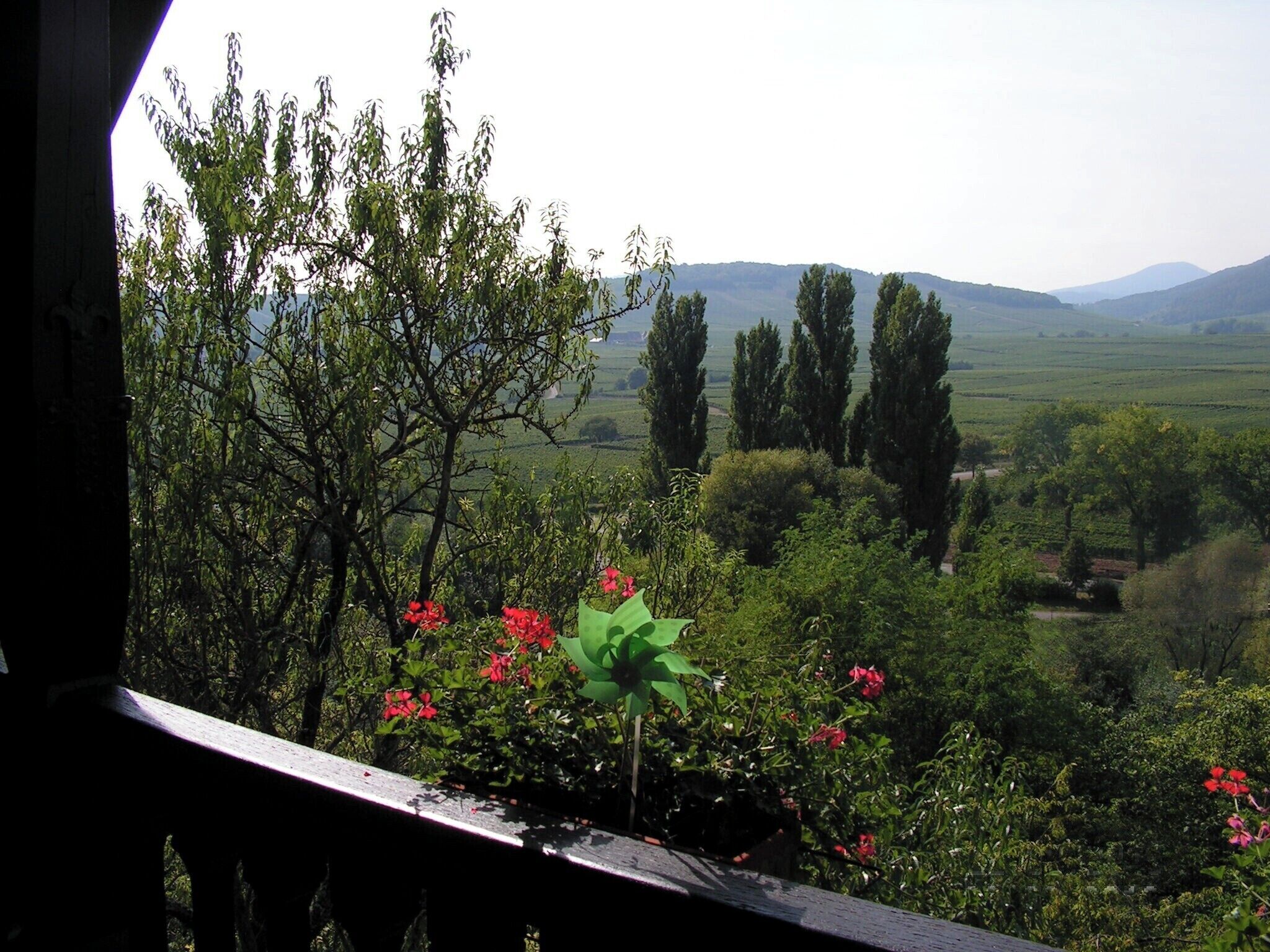 Área da propriedade