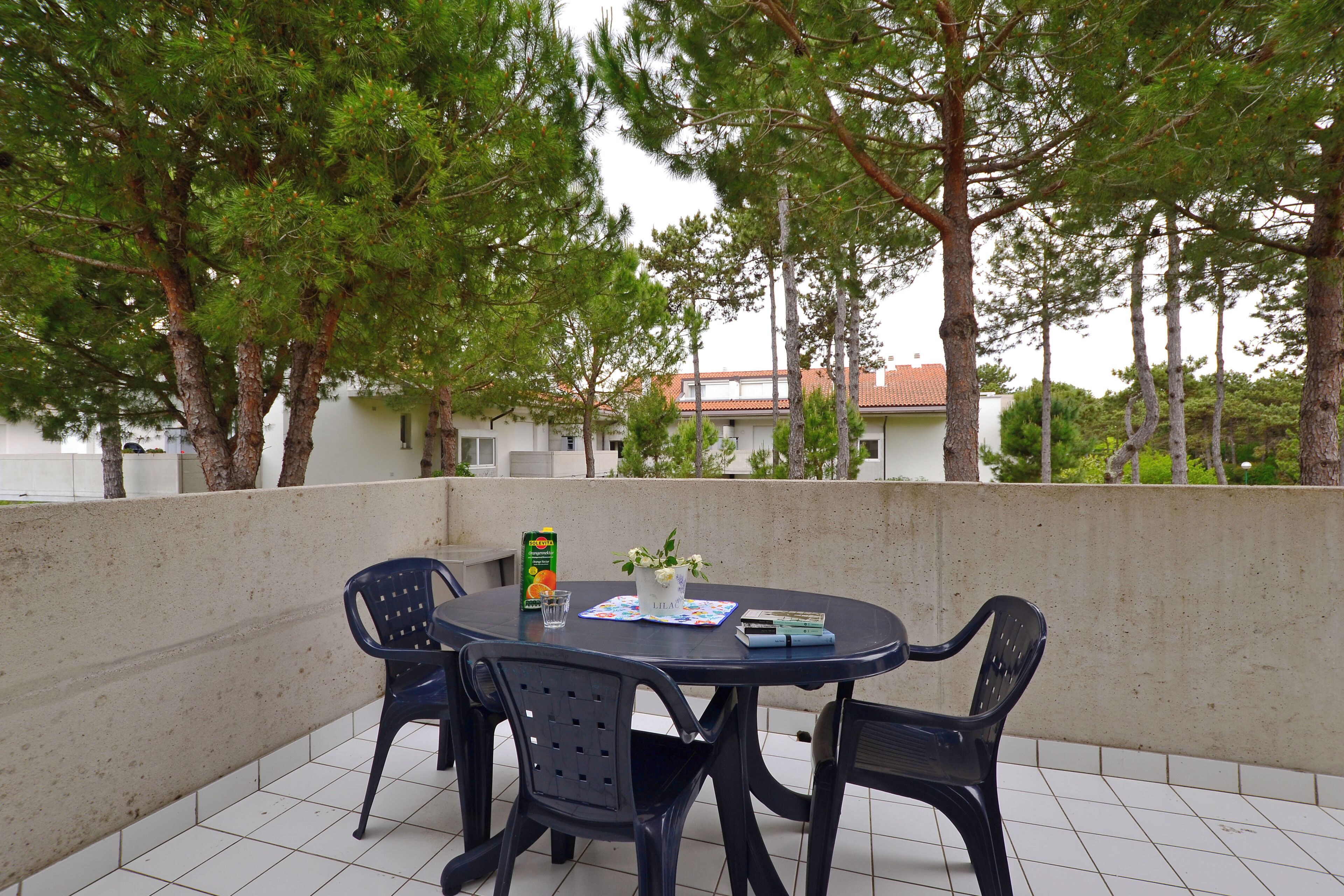 Terras