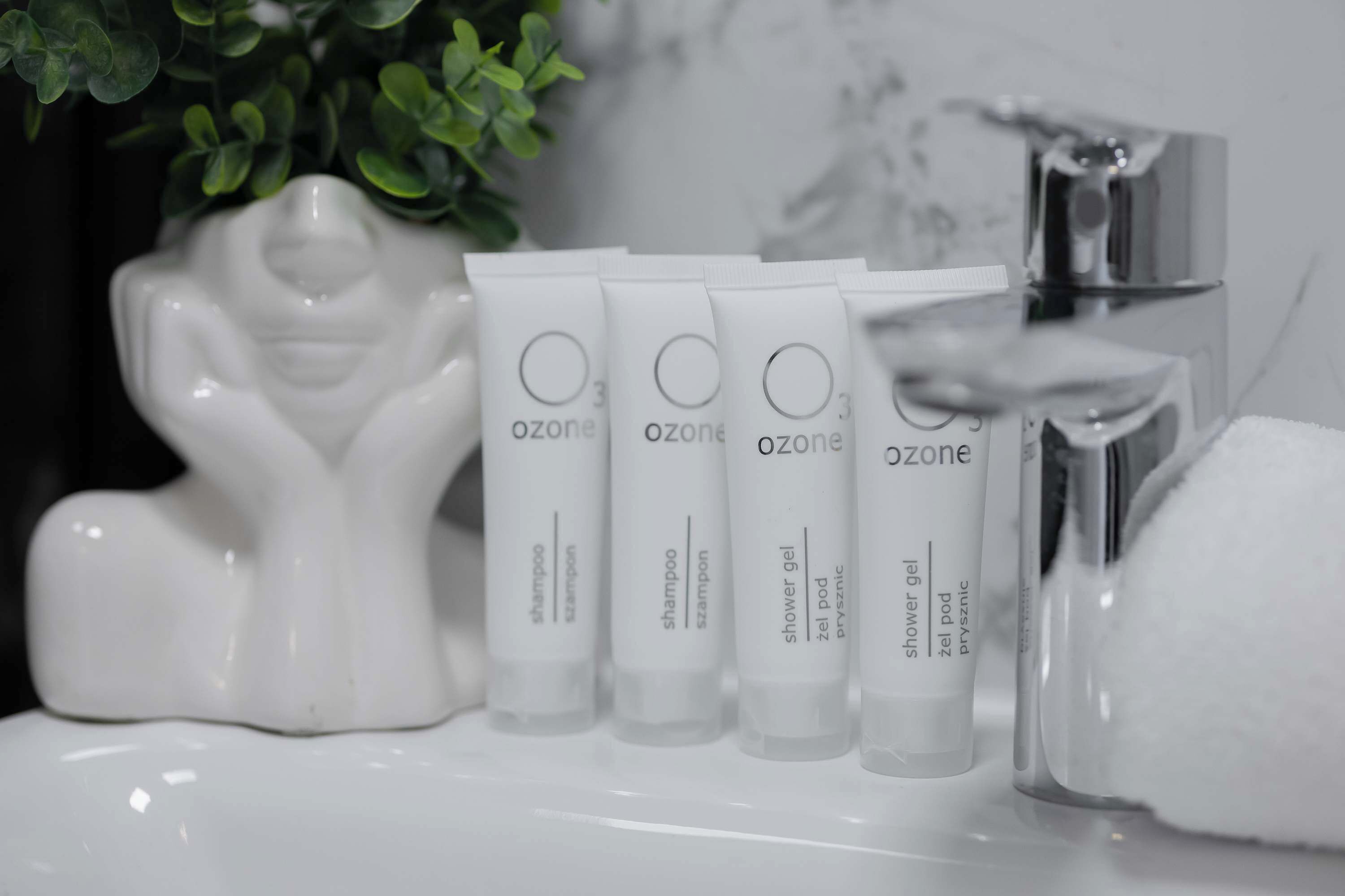 Ein Badezimmer mit einer weißen Keramik-Buddha-Statue, einer Duschbrause und mehreren Tubes Ozone-Duschgel.