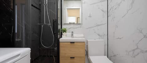 Douche, séchoir à cheveux, serviettes fournies, shampooing