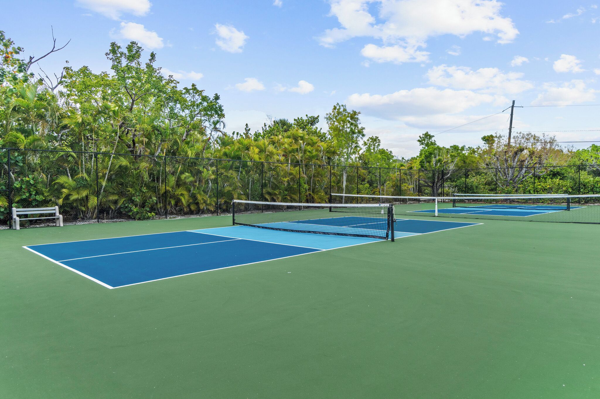 Tenniskenttä, jossa on verkko, ja sen ympärillä on puita sekä penkki.