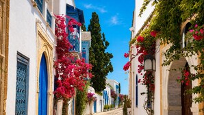 Una estrecha calle empedrada bordeada por edificios blancos con puertas y ventanas azules, y flores de buganvilla rosadas.