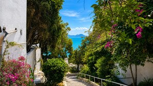 Un estrecho sendero de piedra bordeado de exuberante vegetación y flores de buganvilla, que conduce a una vista panorámica del mar y las montañas.