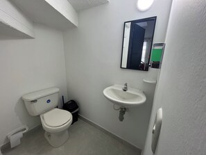 Toallas y papel de baño 