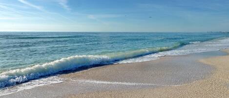 Condo, 1 Queen Bed with Sofa bed (Harbor House 26) | Beach