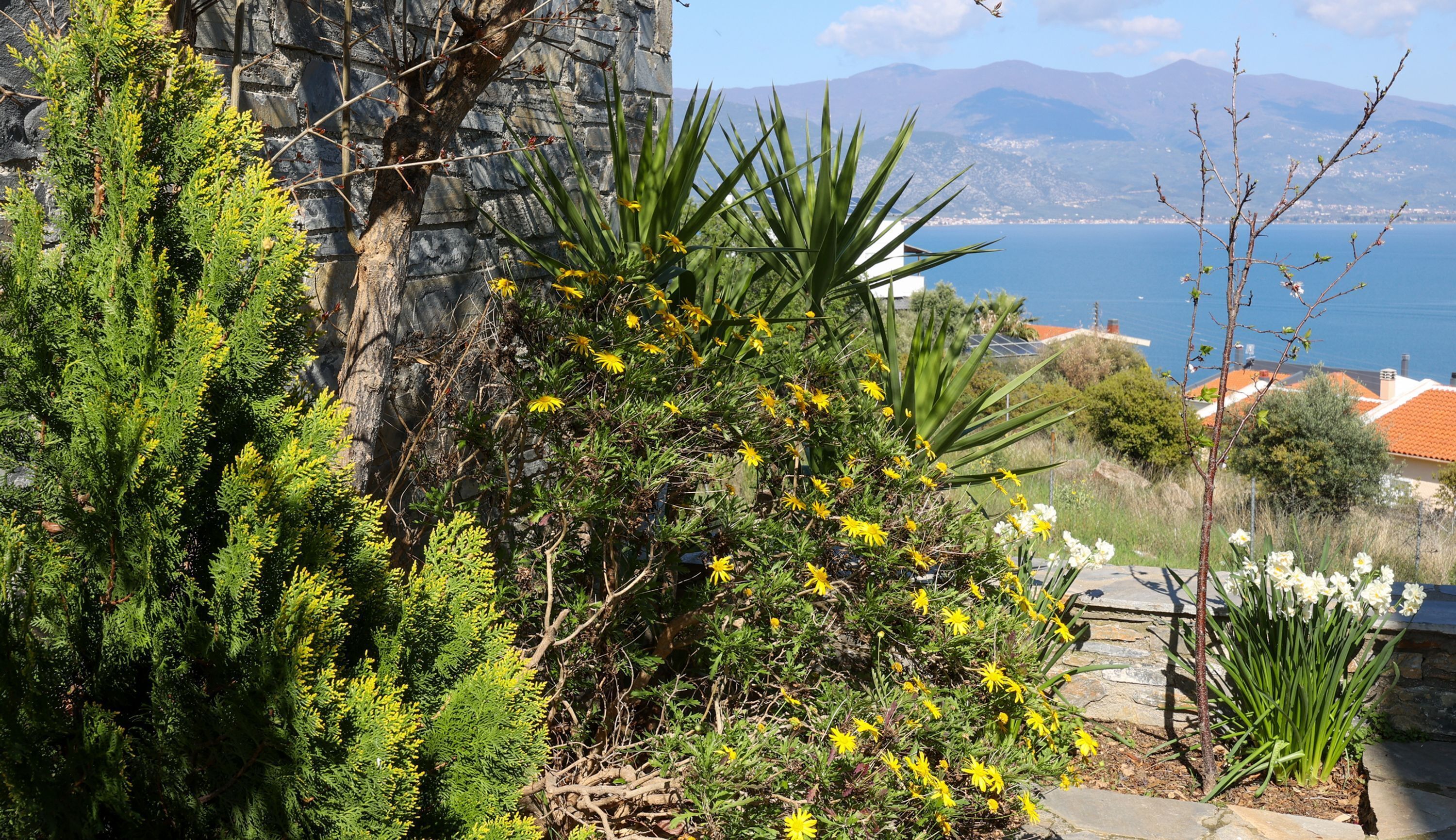 Eine Küstenlandschaft mit einer Steinmauer, viel Grün und Blick auf das Meer und die Berge.