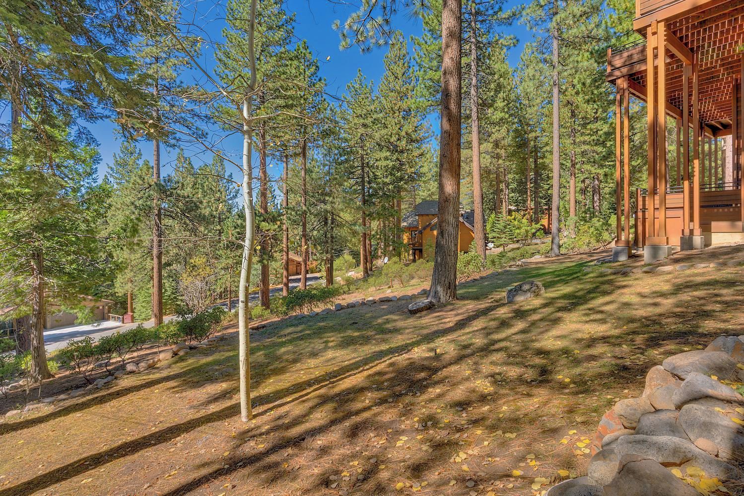 A forested area with a wooden structure, possibly a cabin or lodge, surrounded by tall trees and a clear sky.