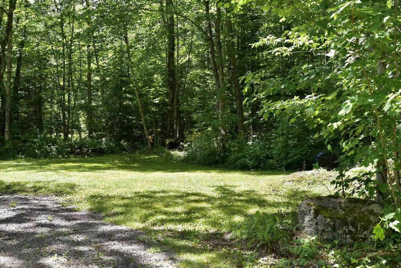 Um ambiente natural com área gramada e árvores densas.