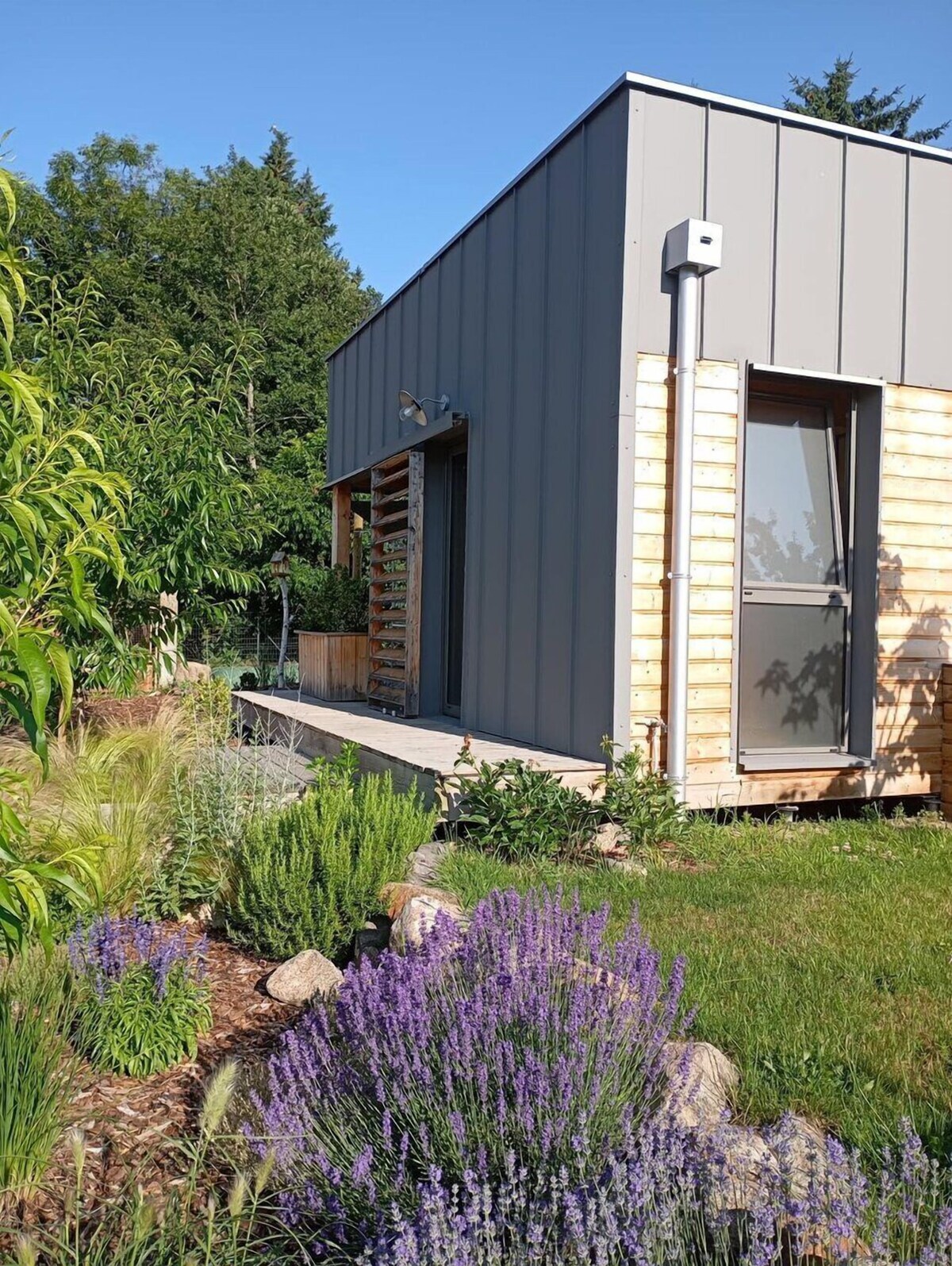 Imagen de perfil del propietario o de la propietaria