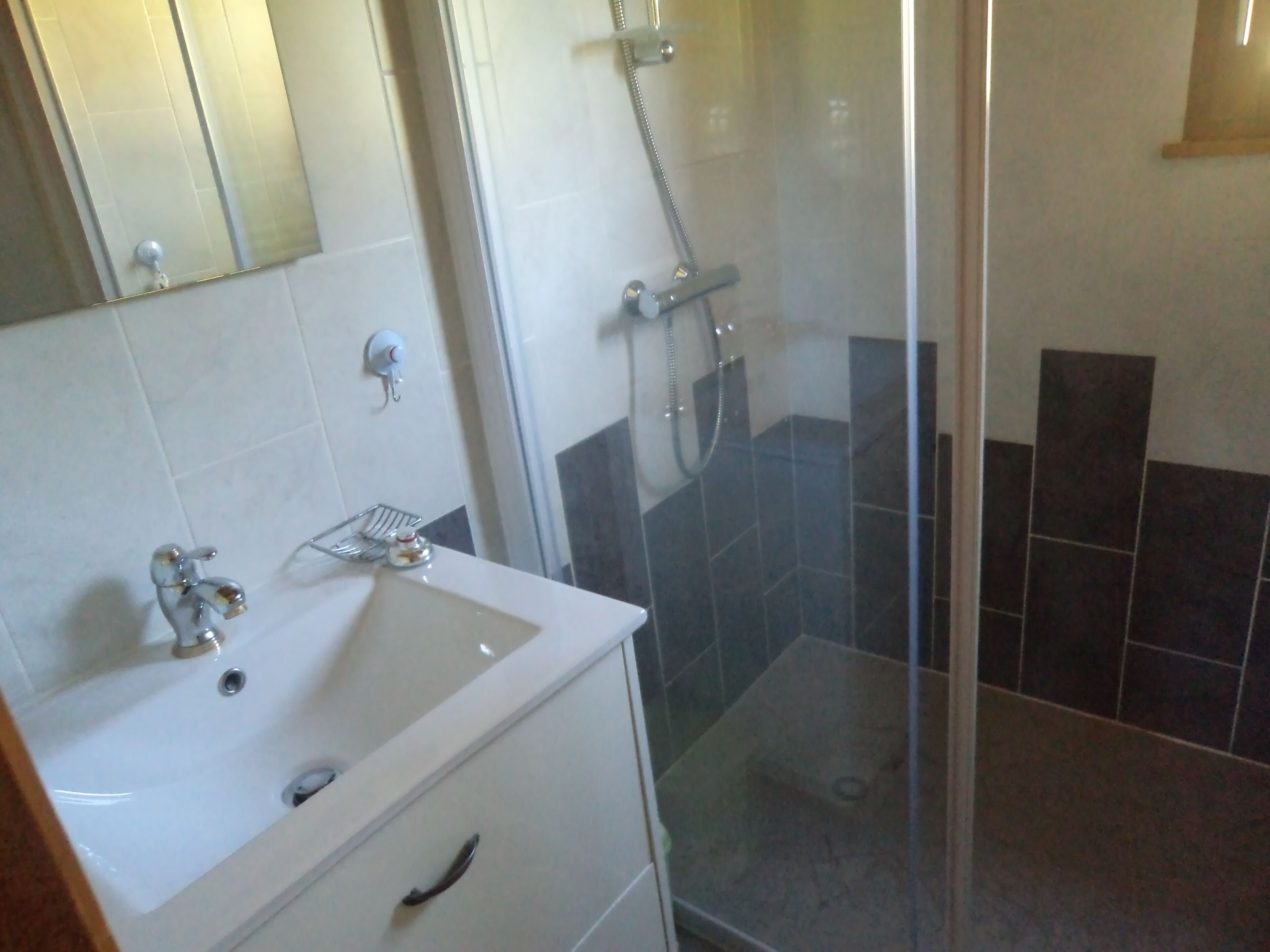 Shower, hair dryer, towels, toilet paper