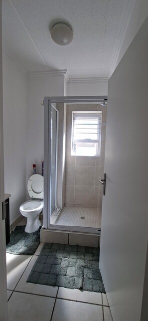 Shower, towels, soap, toilet paper - Serene Haven - Peaceful, Secure & Conviniently located apartment (Sandton)