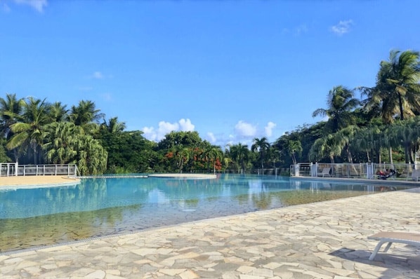 Ein klares Schwimmbecken mit einer Steindeck, umgeben von Palmen und blauem Himmel.