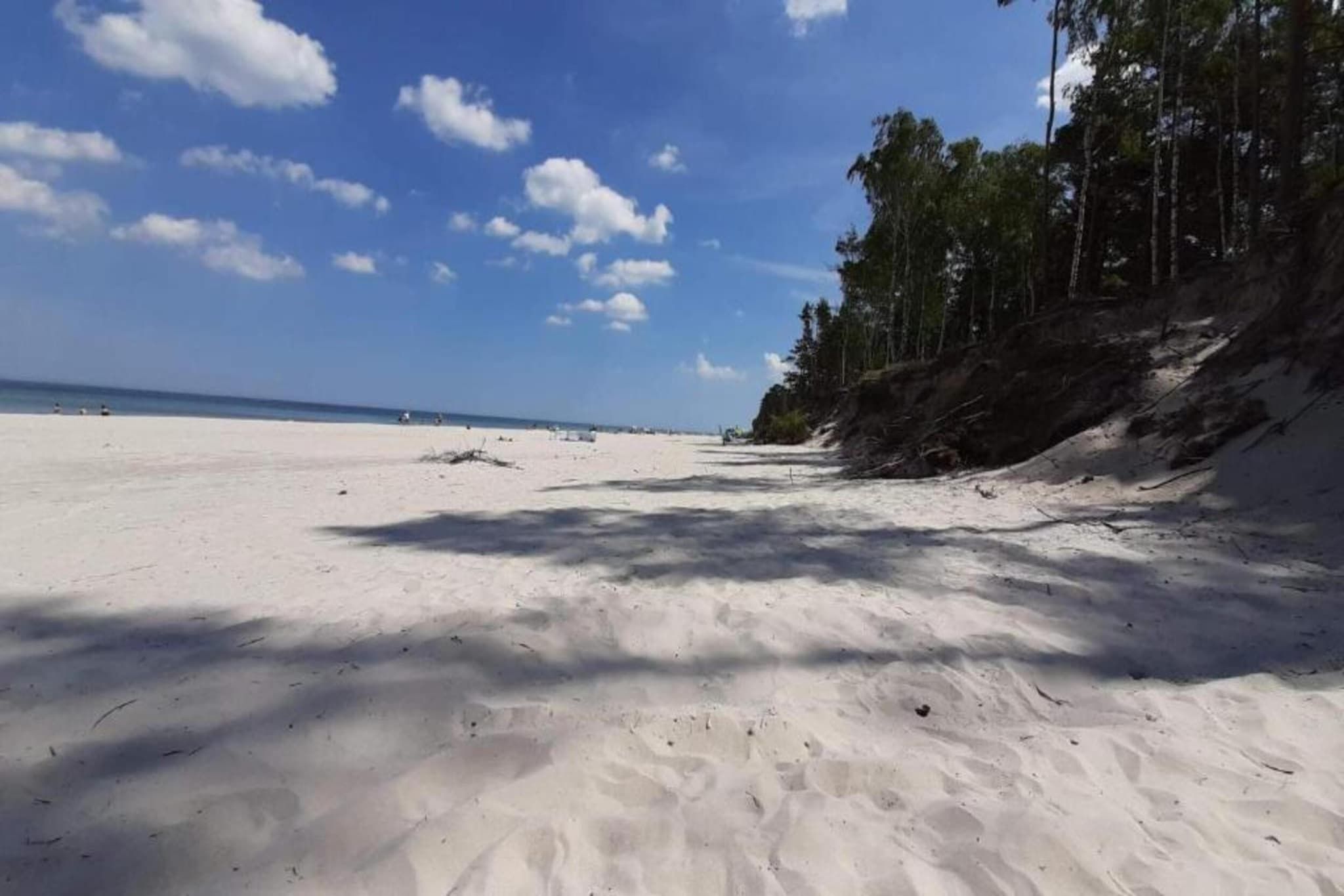 Une plage avec un ciel dégagé et un rivage sablonneux.