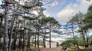 A forested area with benches and a small structure, likely a rest area or viewpoint. - Large, comfortable holiday home with a garden (Smoldzino)