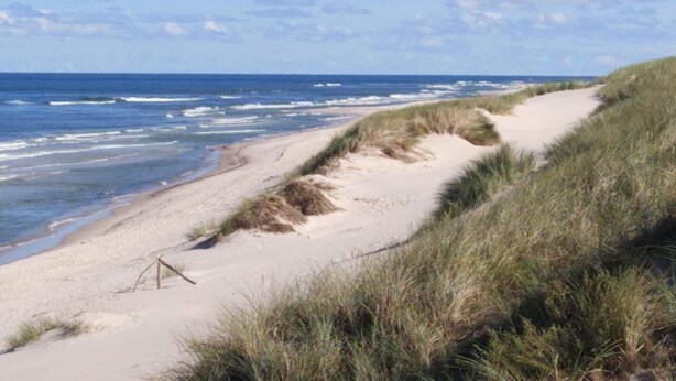 A beach with a sandy path and dunes. - Large, comfortable holiday home with a garden (Smoldzino)