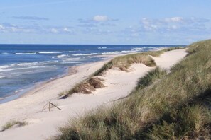 Beach - Large, comfortable holiday home with a garden (Smoldzino)