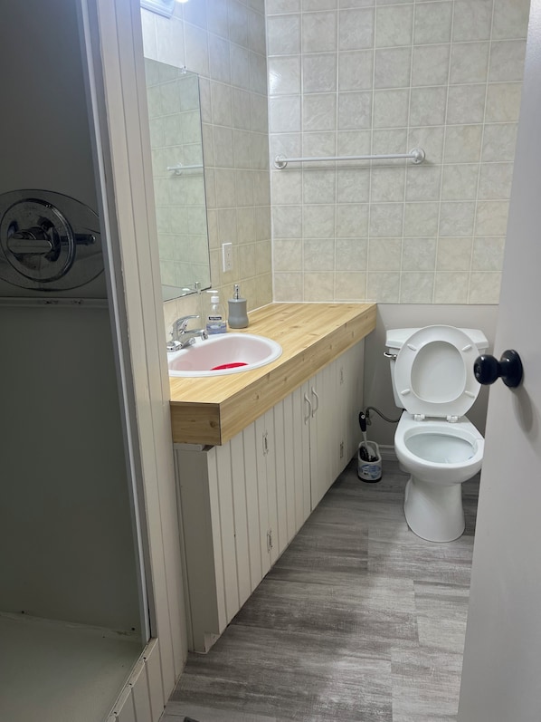 Shower, towels, soap, toilet paper