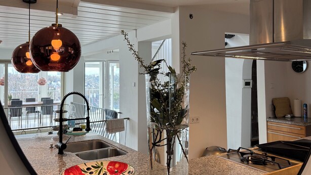 Una cocina con encimera de granito, pileta de acero inoxidable, un florero con plantas y luces colgantes.