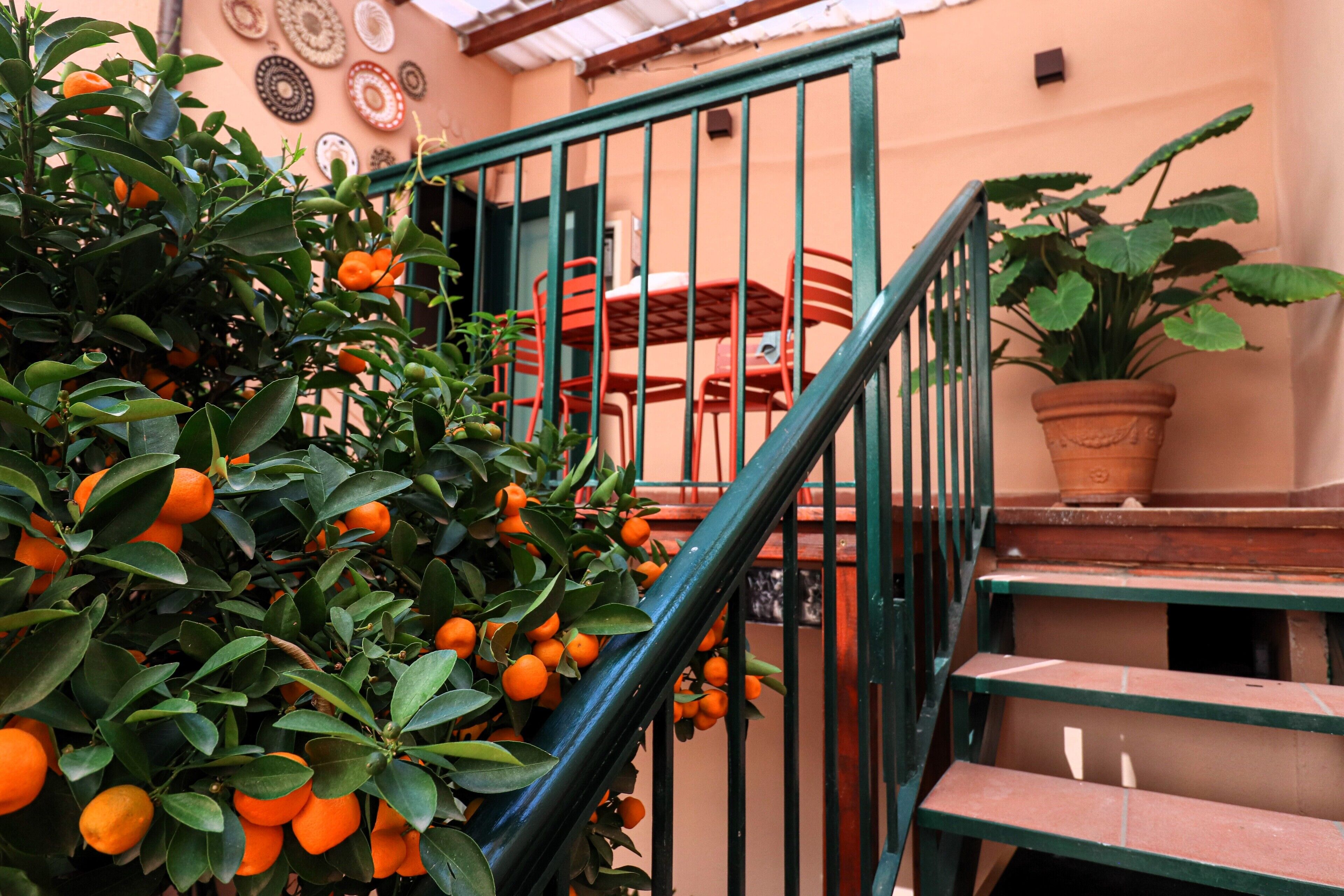 Alloggio Deluxe su due livelli, lato giardino | Terrazza/patio