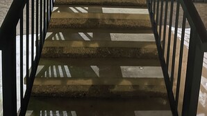Una escalera con barandillas negras que conduce a una puerta con paneles de vidrio esmerilado.