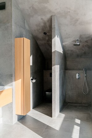 Shower, hair dryer, towels - Venez Chez Vous La Maison Blanche du Lac (Veyrier-du-Lac)
