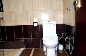 Douche, sèche-cheveux, serviettes fournies, savon