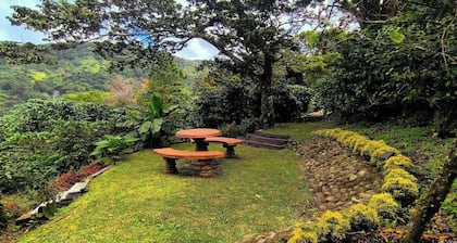 Coffee Cabins - Cabin 2