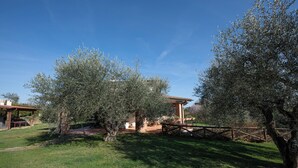Un espacio al aire libre rústico con olivos, un cerco de madera y un edificio con techo de tejas.