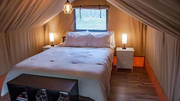 1 chambre, Wi-Fi