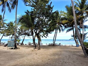 A beach with palm trees, a sandy area, and a signboard. - Gorgeous large condo, quiet beachfront complex (Las Terrenas)